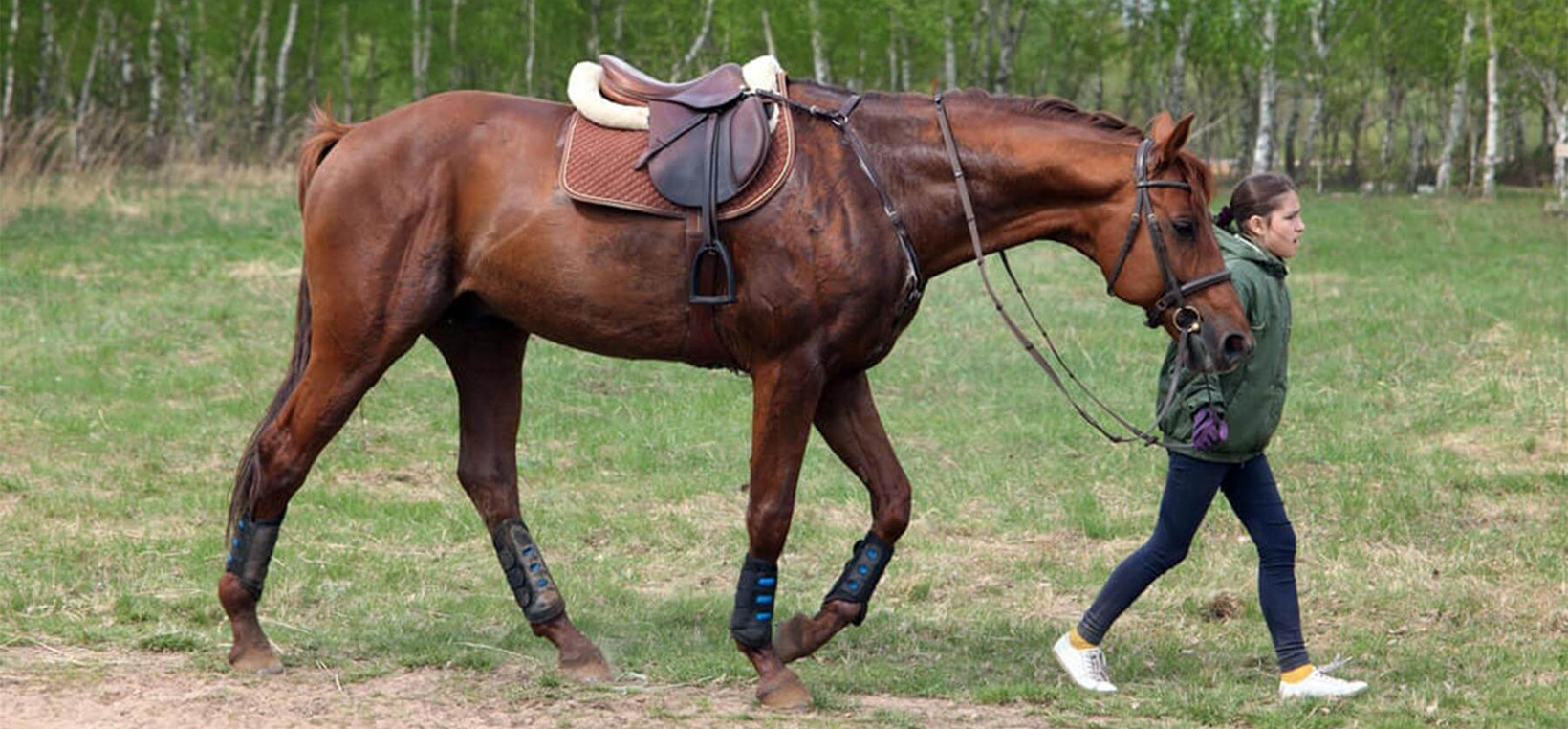Western Cowboy Store -Western Cowboy Store 1