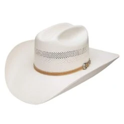 Stetson Hats 10X Arapaho 4 1/4in. Brim