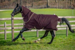 Horseware Ireland Amigo Hero Ripstop Plus Turnout 0g