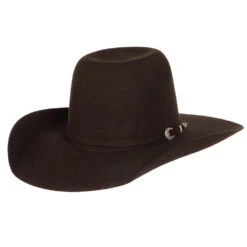 Resistol Youth Chocolate Pay Window Jr Felt Cowboy Hat