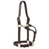 Weaver Leather Large Horse 1in Oiled Track Halter