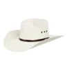 Twister 5X Natural 4in. Brim With Eyelets Straw Cowboy Hat -Western Cowboy Store 144492 default l