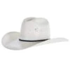 Resistol 20X Latigo 4 1/4 Inch Brim RB Profile Straw Hat 1 Resistol 20X Latigo 4 1/4 Inch Brim RB Profile Straw Hat -Western Cowboy Store 164843 default l