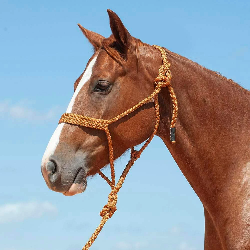 Cashel Company Flat Braid Halter W/9ft Lead 7 Cashel Company Flat Braid Halter W/9ft Lead - Image 5