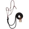 Weaver Leather Silvertip Big Sky Loping Halter With Split Reins -Western Cowboy Store 224469 711586