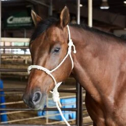 Caudle`S Halters Rope Nose Halter With An 8 1/2ft Lead Rope -Western Cowboy Store 231933 737610