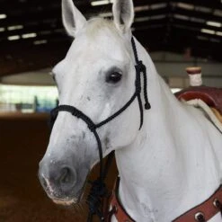 Caudle`S Halters Rope Nose Halter With An 8 1/2ft Lead Rope -Western Cowboy Store 231933 737611