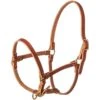 Nrs Tack Foal Weanling Leather Halter -Western Cowboy Store 87432 default l
