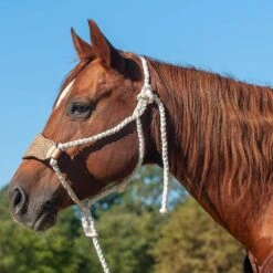 Cashel Company Braided Rope Halter W/Basket Stamp Leather Nose And Lead Rope -Western Cowboy Store HTR BRNLBT main